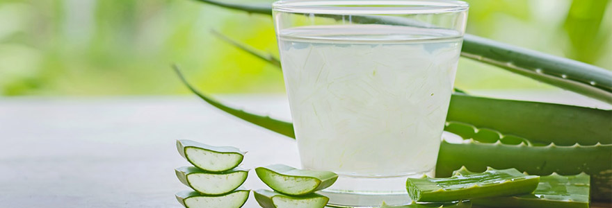 gel d'Aloe Vera